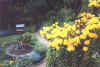 Garden04_View-from-Patio.jpg (47053 bytes)
