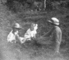 Photos02_Picnic-on-Heath.gif (64325 bytes)