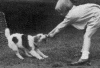 Photos02_Tugging-with-Dog.gif (64048 bytes)