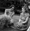 Photos04_In-striped-dress-on-lawn.gif (106355 bytes)