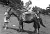 Photos04_On-horseback.gif (120473 bytes)