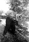 Photos04_Raking.gif (147922 bytes)